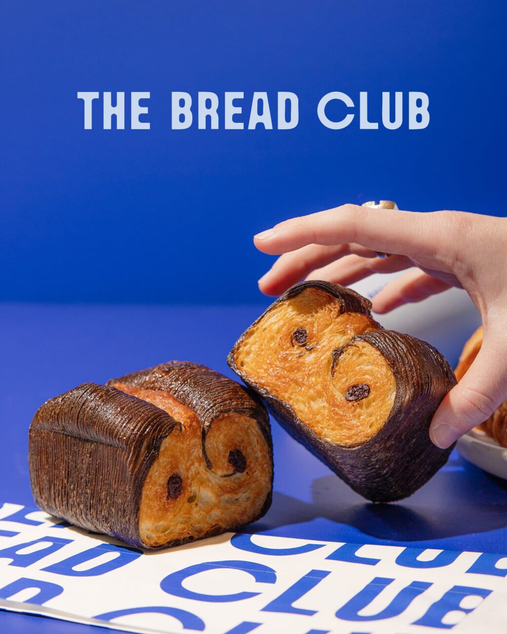 Projet The Bread Club - Création - Design - 1/5